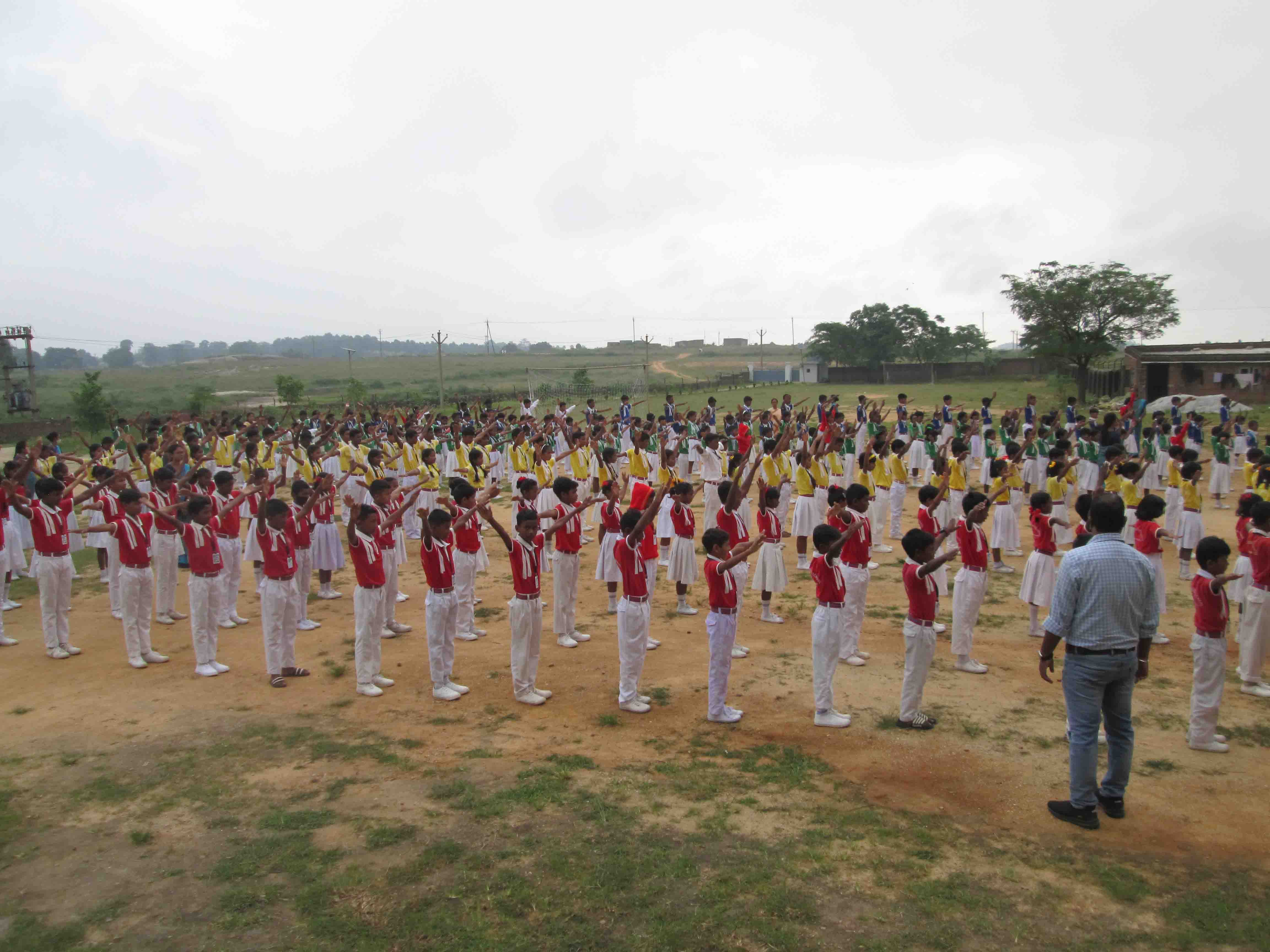 a wild bear appeared